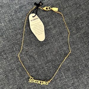 Scorpio Necklace (14k plated)